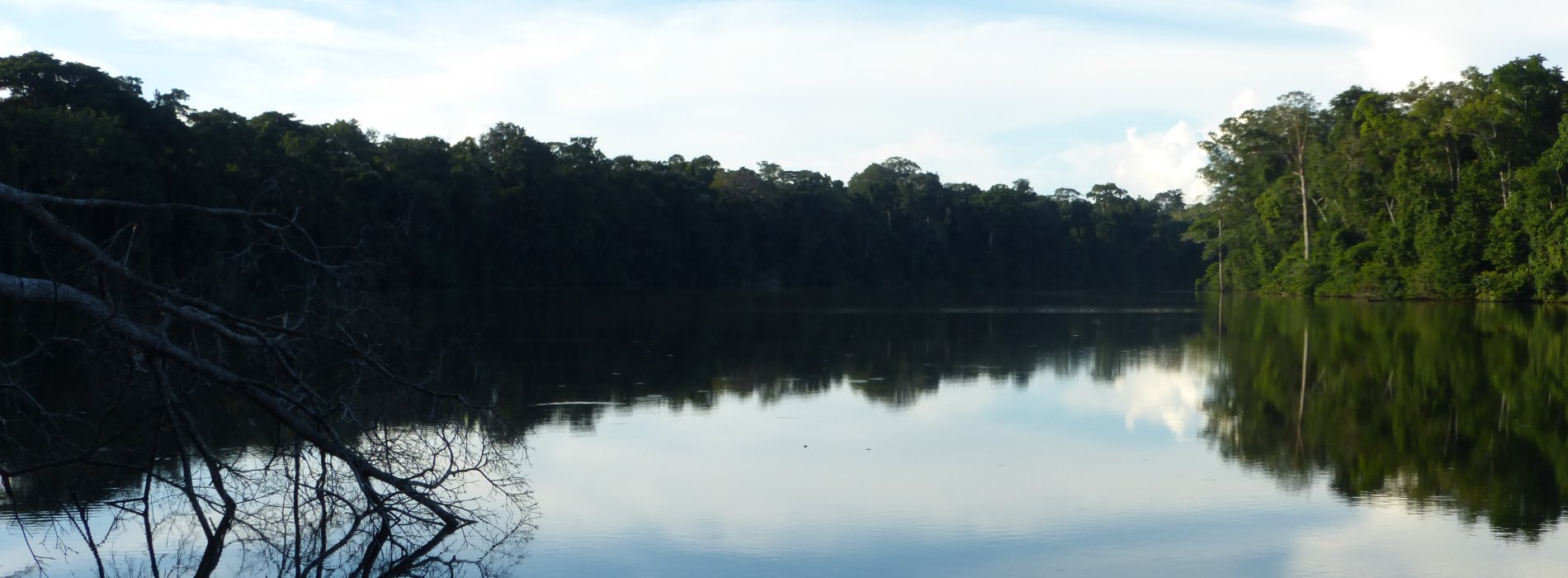 Manu Wildlife Tours