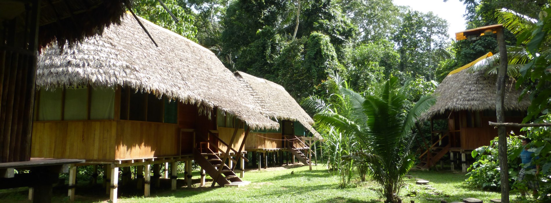 Manu Wildlife Tours
