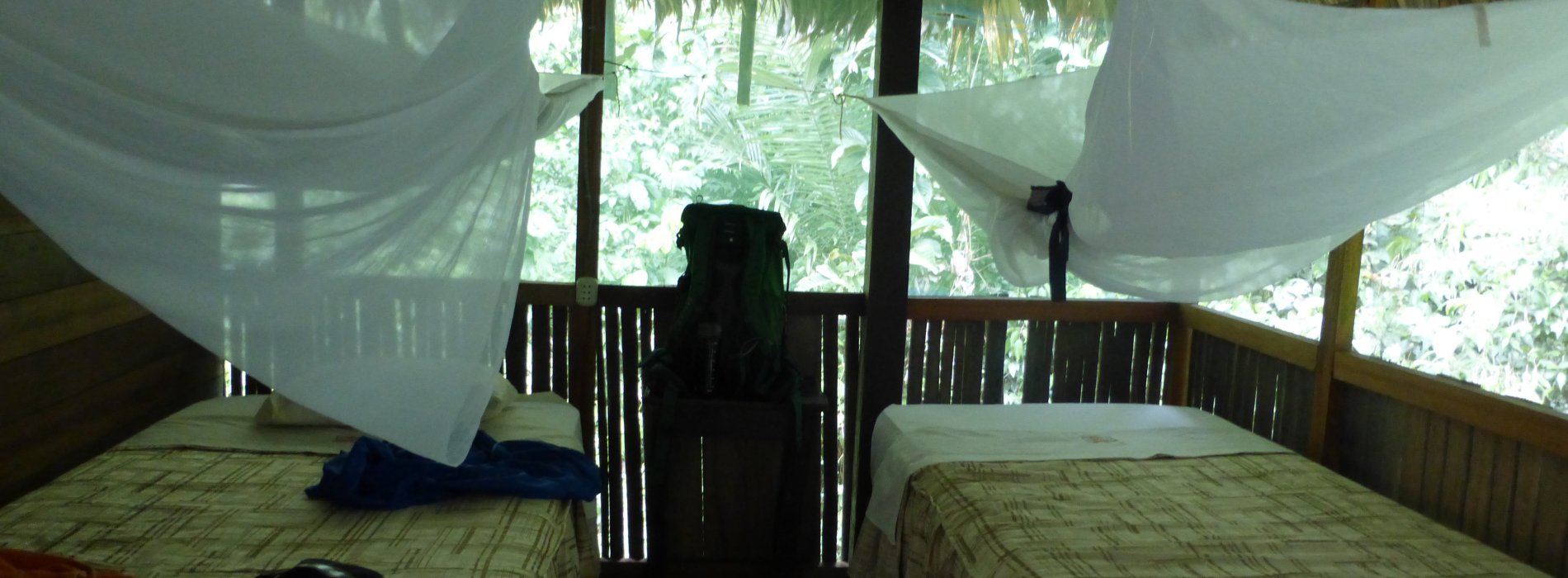 Manu Wildlife Tours