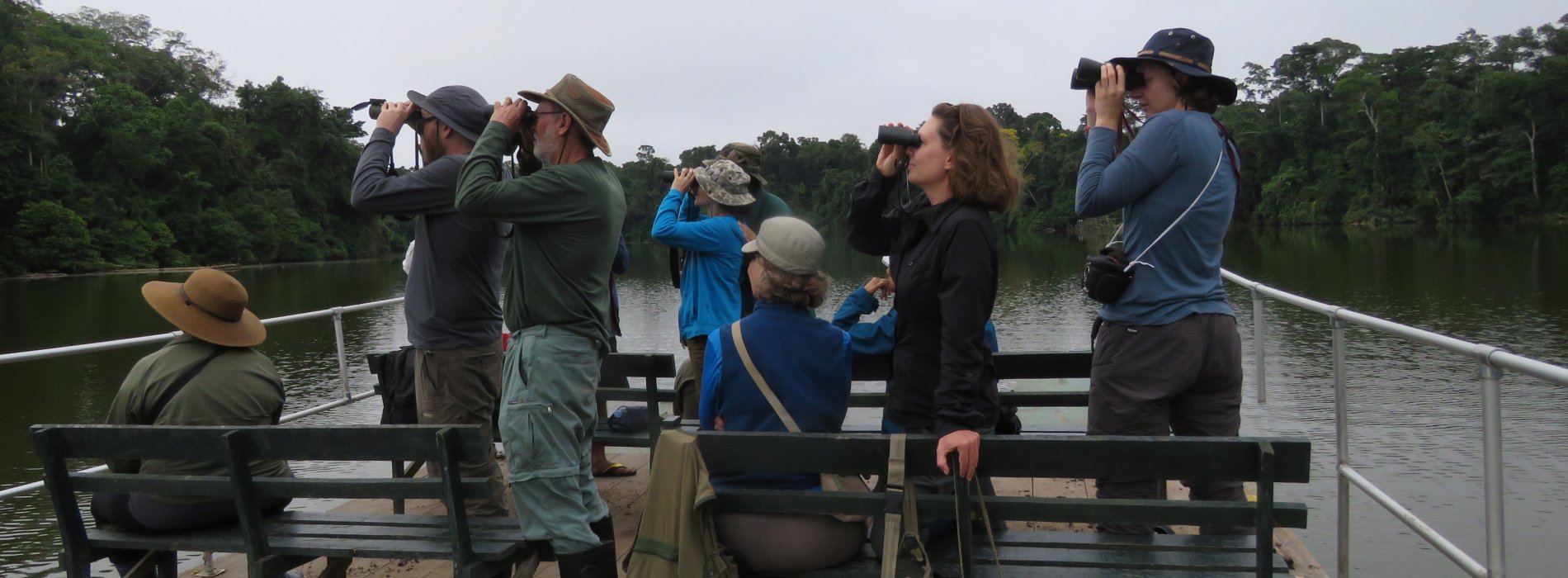 Manu Wildlife Tours