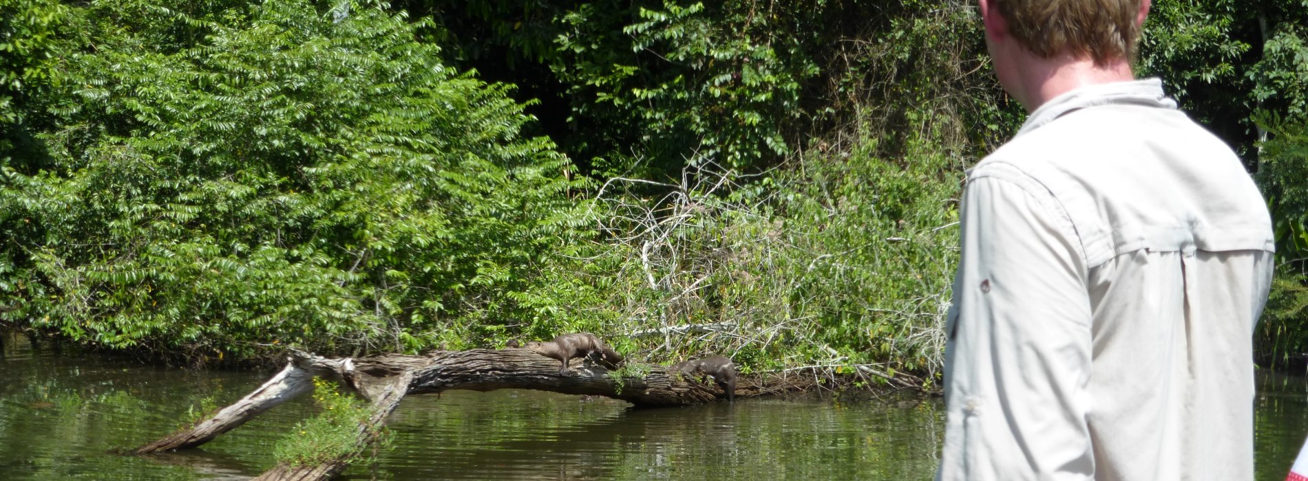 Manu Wildlife Tours