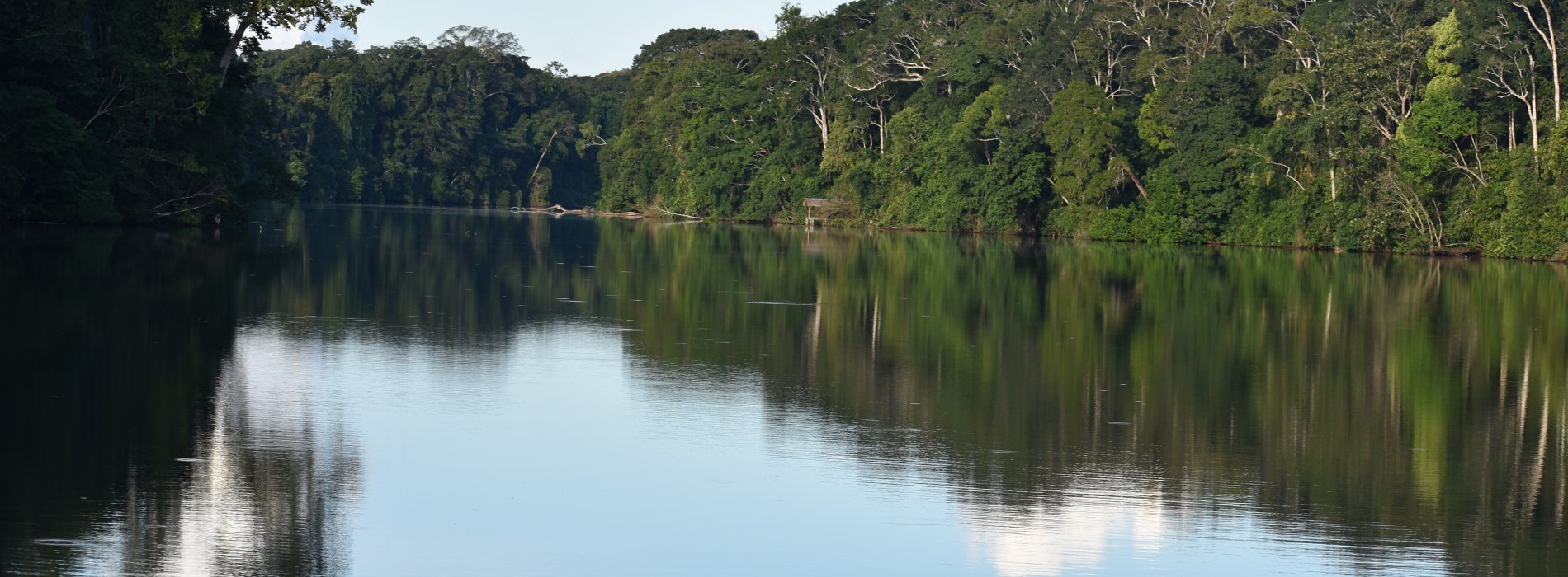 Manu Wildlife Tours