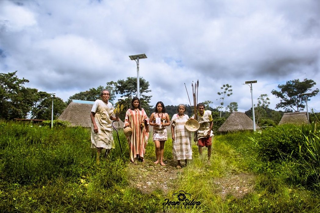 Manu Wildlife Tours
